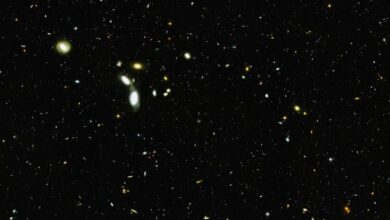 a cluster of stars in the night sky