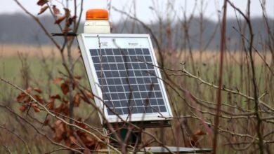 A solar panel mounted to a pole in a field