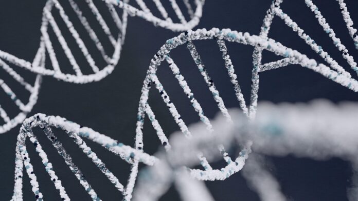Free Dna Deoxyribonucleic Acid photo and picture