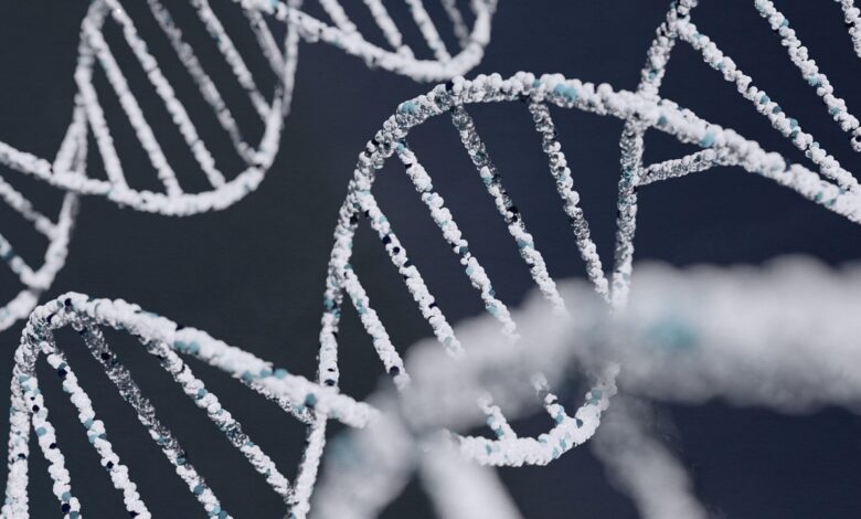 Free Dna Deoxyribonucleic Acid photo and picture