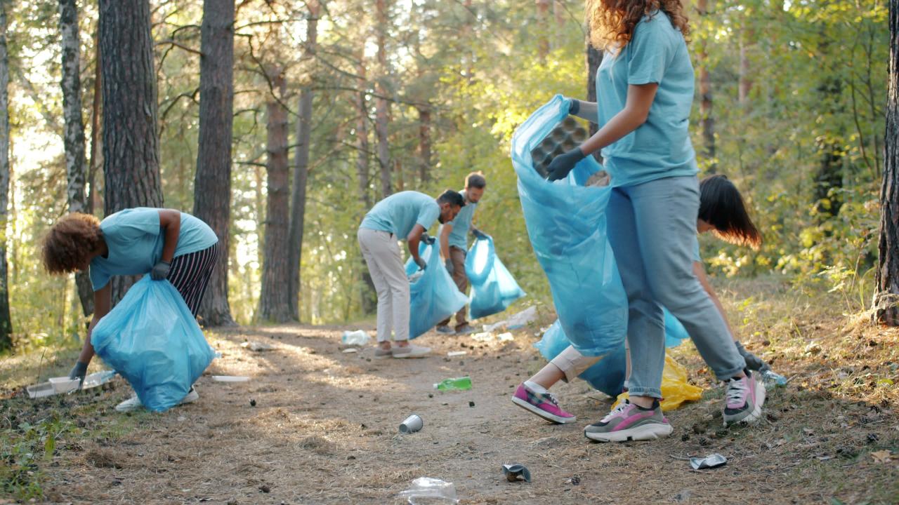 Volunteers cleaning up litter in a forest setting.