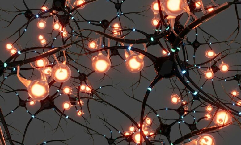 A bunch of lights that are on a tree